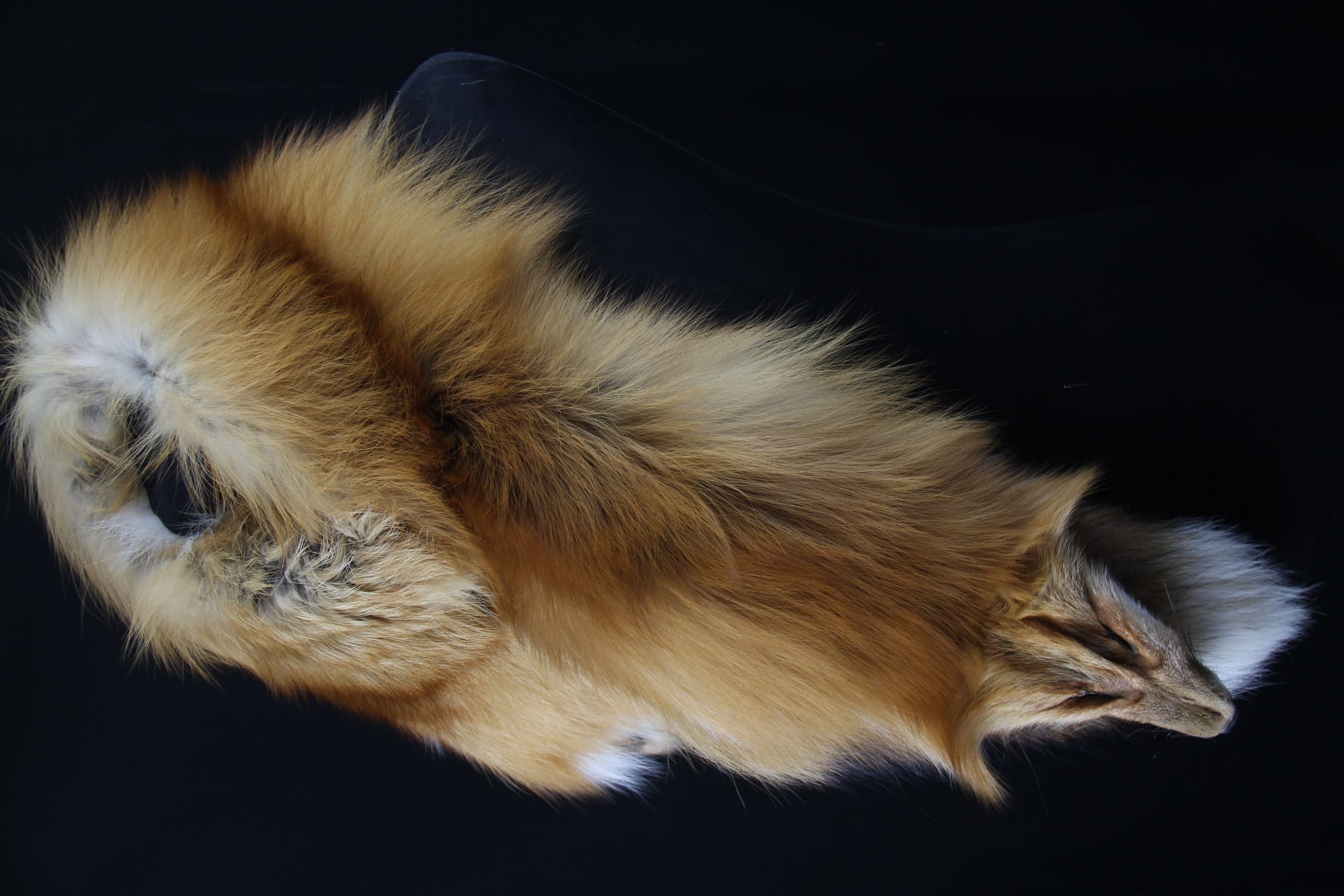 Red Fox Mantle - Side View